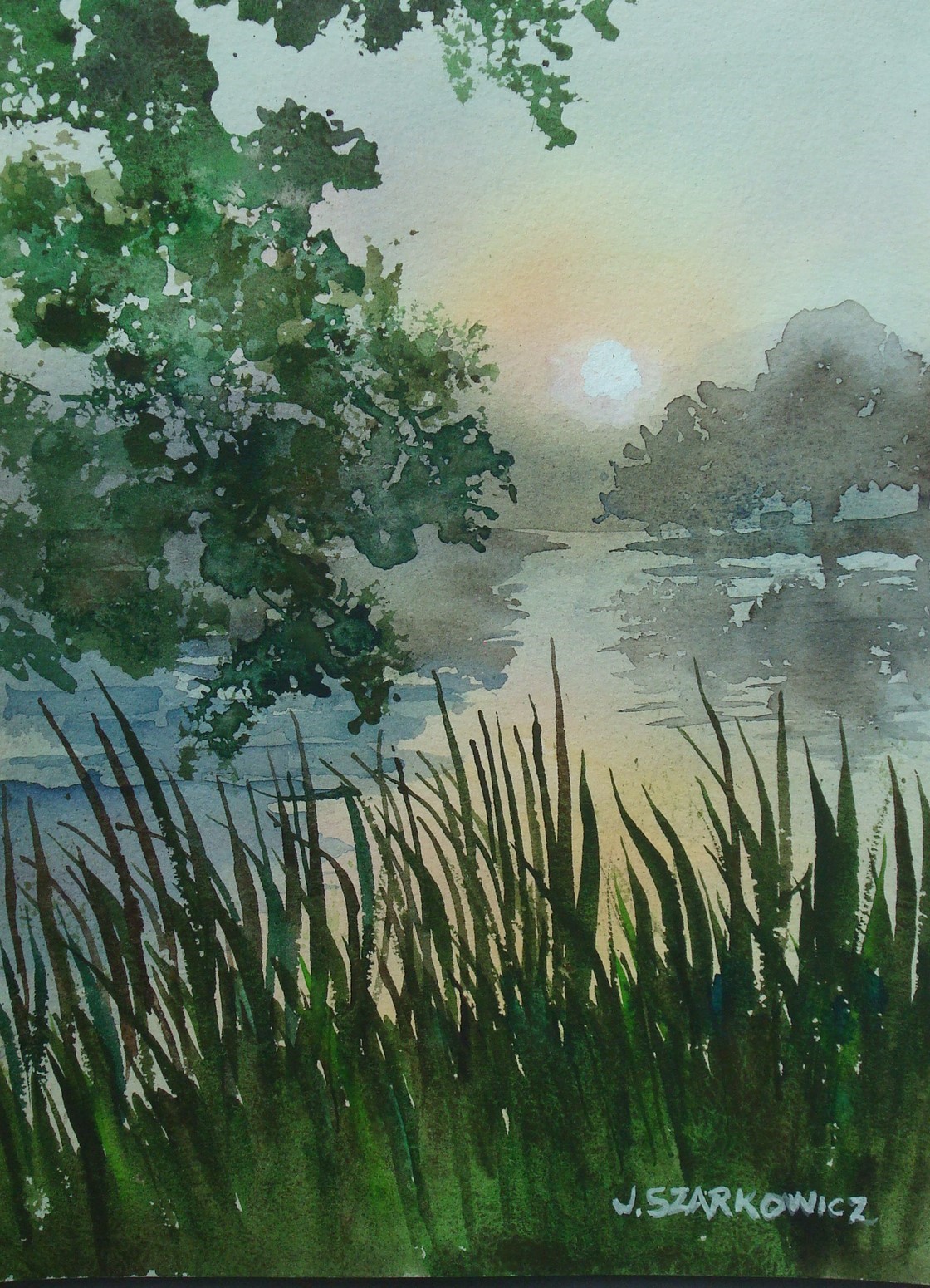 A watercolor painting of a water way, surrounded by grasses and trees.